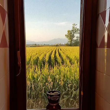 La Casa Di Dany Bed & Breakfast Chiari